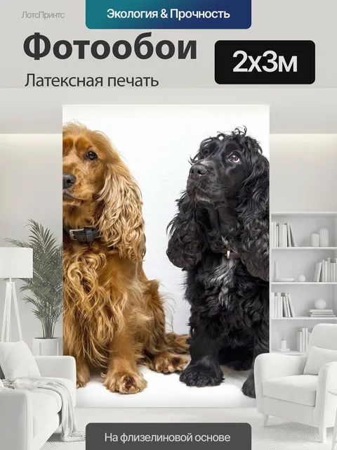 200 × 300 см · Латексная печать
