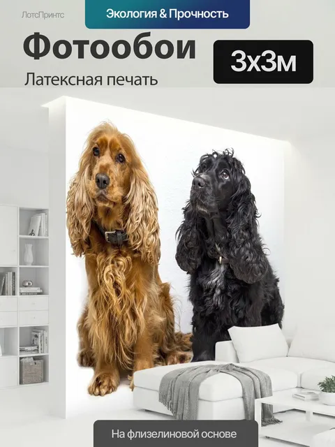 300 × 300 см · Латексная печать