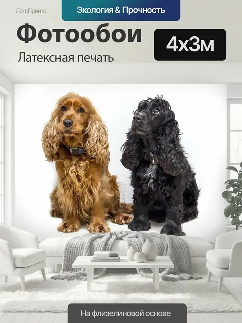 400 × 300 см · Латексная печать