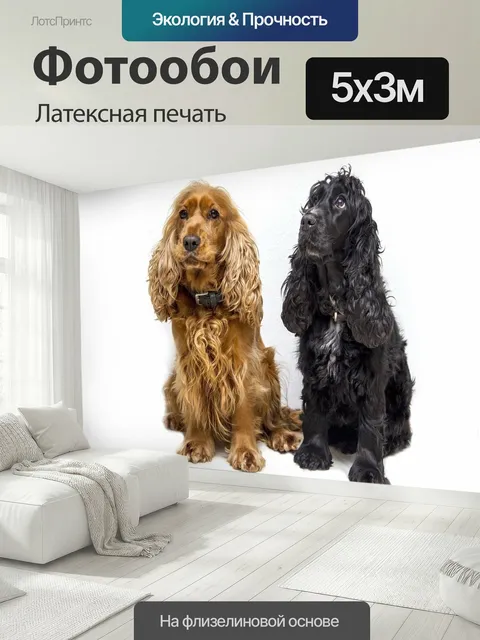 500 × 300 см · Латексная печать