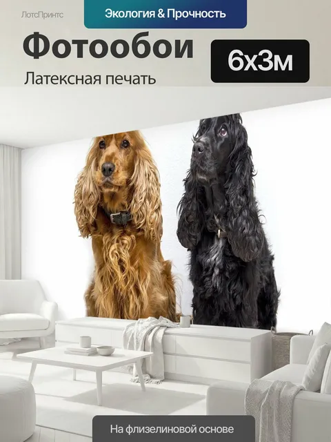 600 × 300 см · Латексная печать