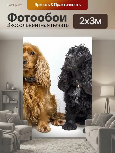 200 × 300 см · Экосольвентная печать