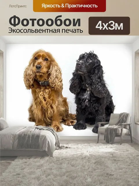 400 × 300 см · Экосольвентная печать