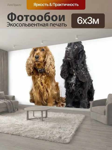 600 × 300 см · Экосольвентная печать