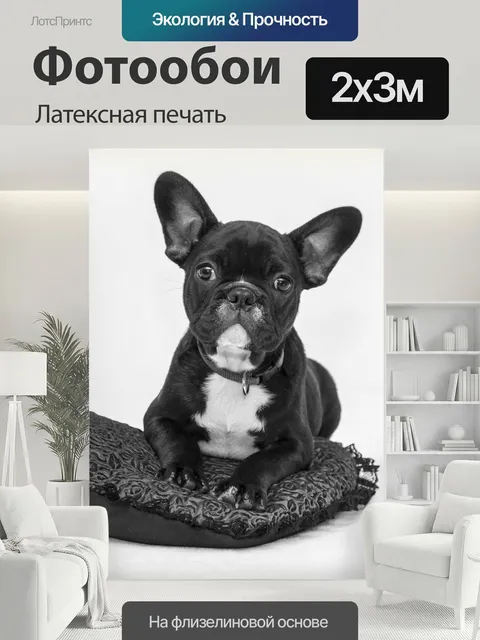 200 × 300 см · Латексная печать