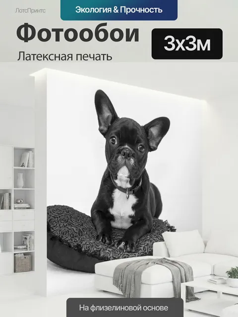 300 × 300 см · Латексная печать
