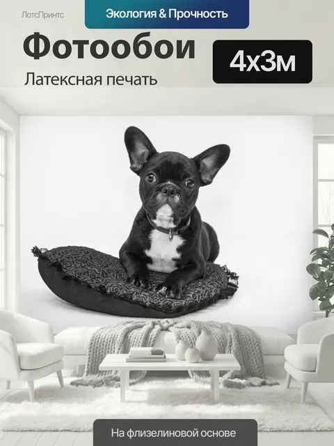 400 × 300 см · Латексная печать
