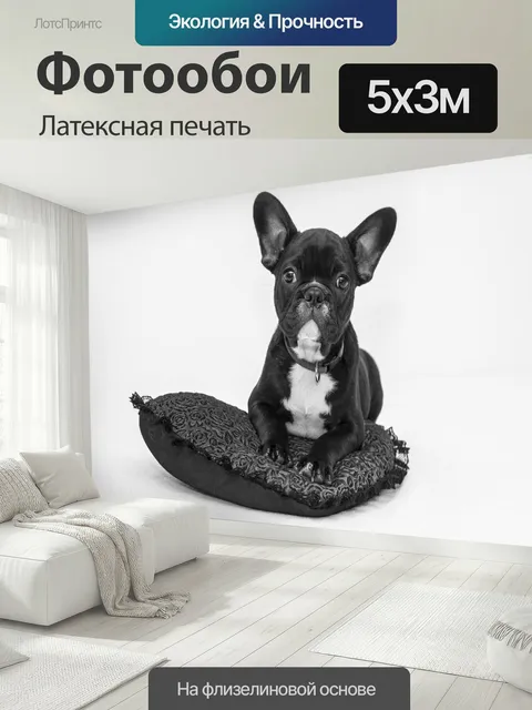 500 × 300 см · Латексная печать