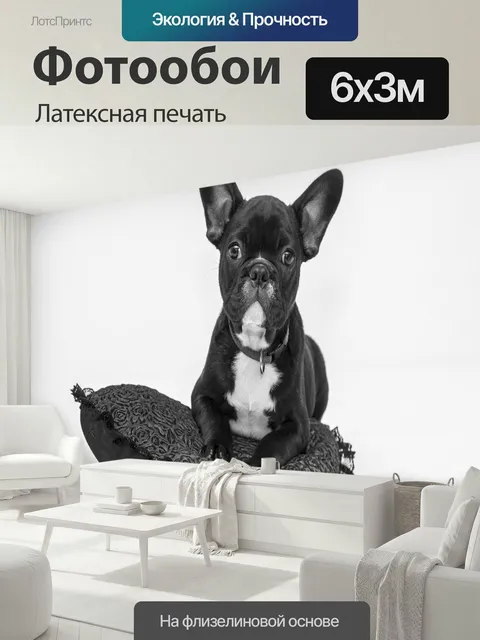 600 × 300 см · Латексная печать