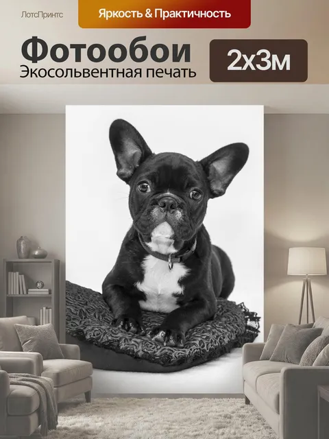 200 × 300 см · Экосольвентная печать