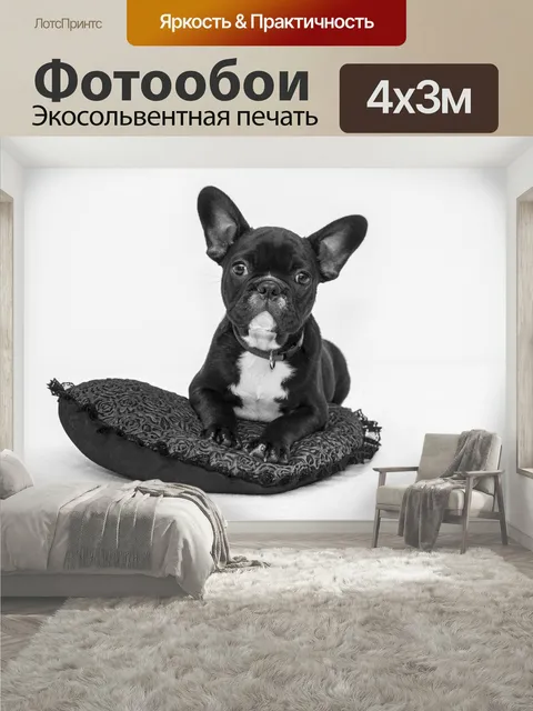 400 × 300 см · Экосольвентная печать