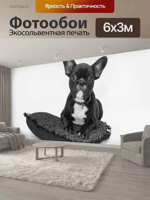 600 × 300 см · Экосольвентная печать
