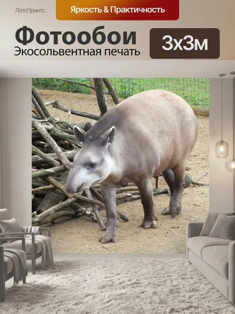 Фотообои Животное, зоопарк, тапир