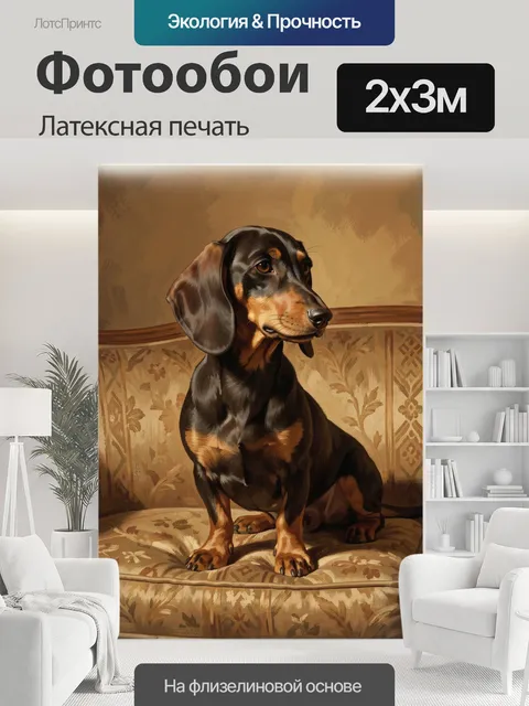 200 × 300 см · Латексная печать
