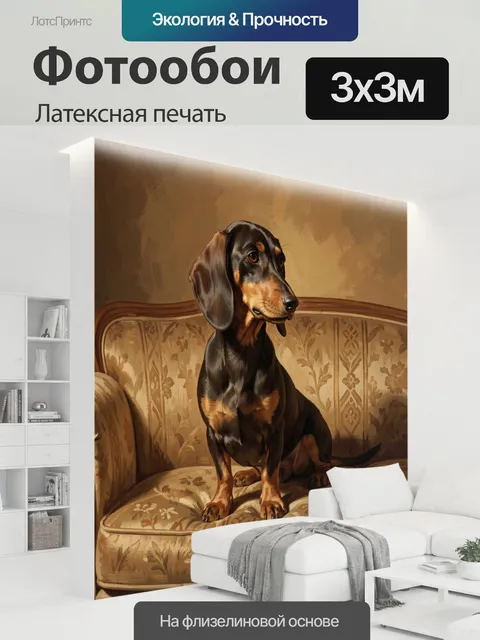 300 × 300 см · Латексная печать