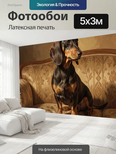 500 × 300 см · Латексная печать