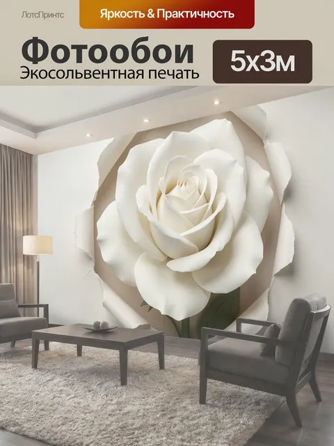 Фотообои Белая роза сквозь разрыв бумаги