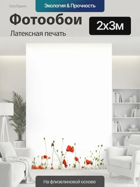 200 × 300 см · Латексная печать