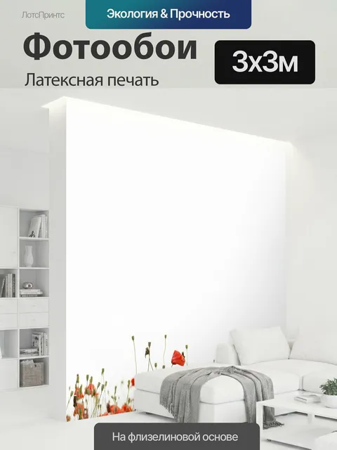 300 × 300 см · Латексная печать