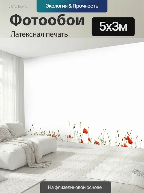 500 × 300 см · Латексная печать