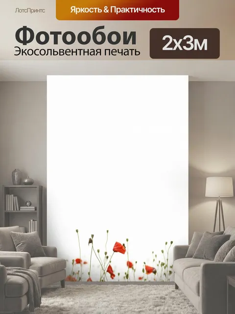 200 × 300 см · Экосольвентная печать