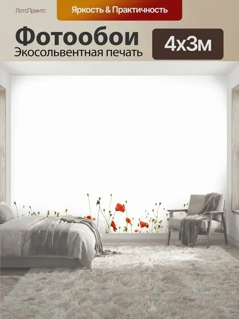 400 × 300 см · Экосольвентная печать