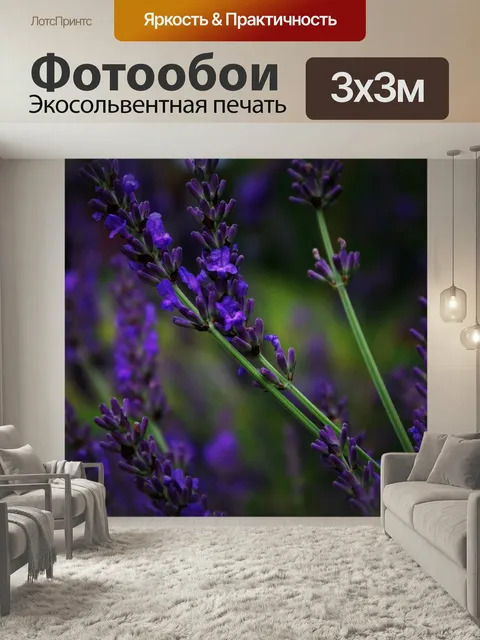 Фотообои Лаванда, цветок, завод