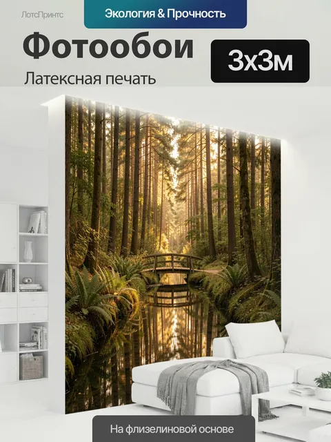 300 × 300 см · Латексная печать