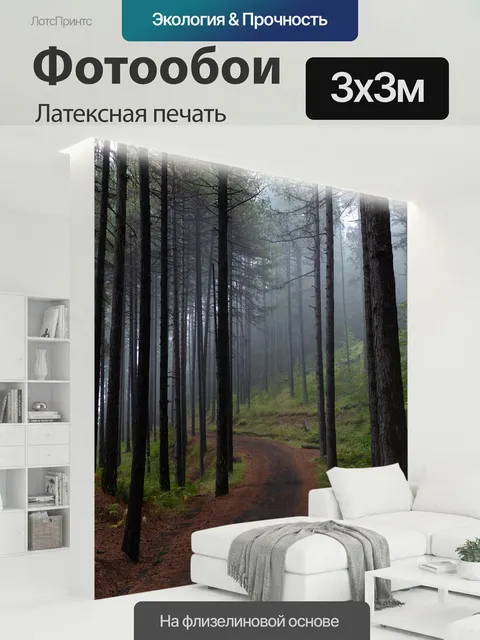 300 × 300 см · Латексная печать
