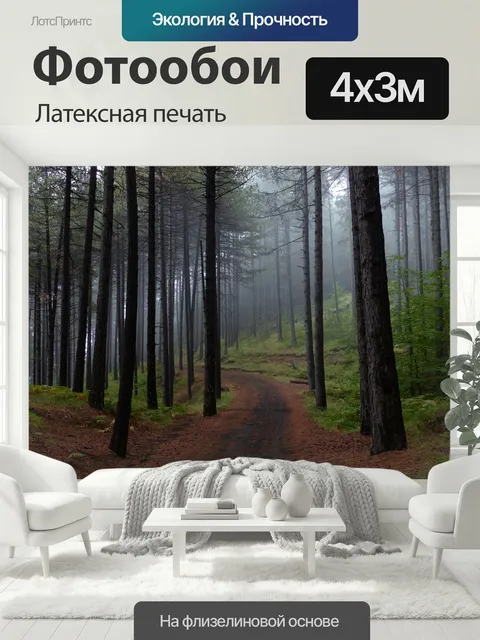 400 × 300 см · Латексная печать