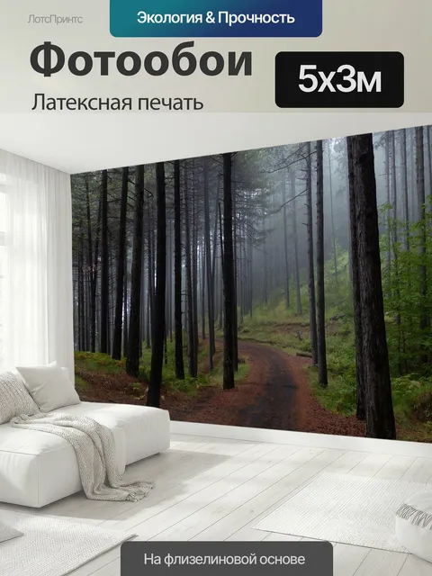 500 × 300 см · Латексная печать