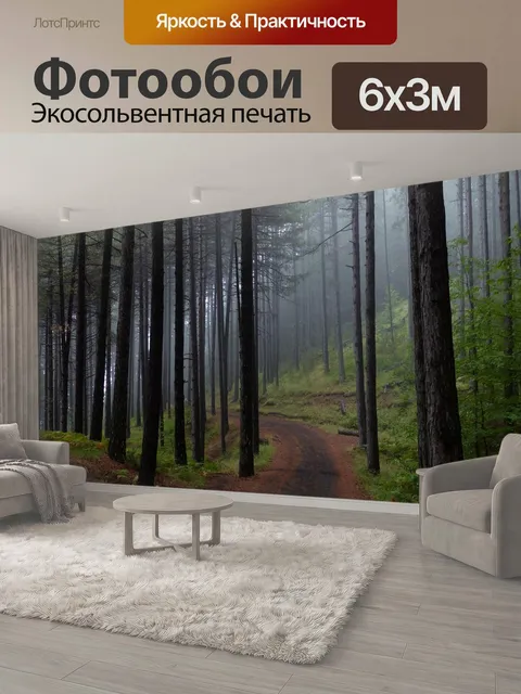600 × 300 см · Экосольвентная печать