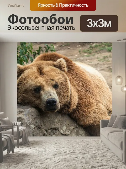 Фотообои Нести, зоопарк, бурый медведь