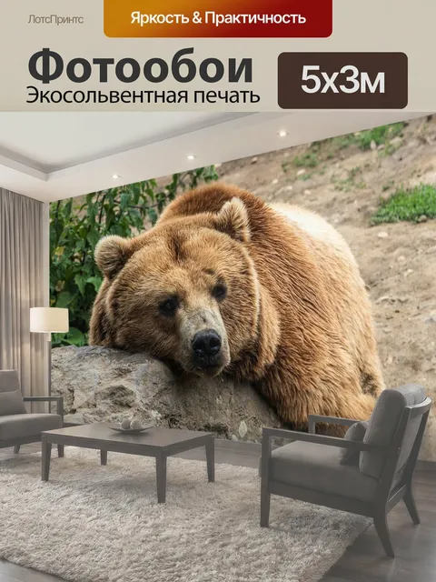 Фотообои Нести, зоопарк, бурый медведь