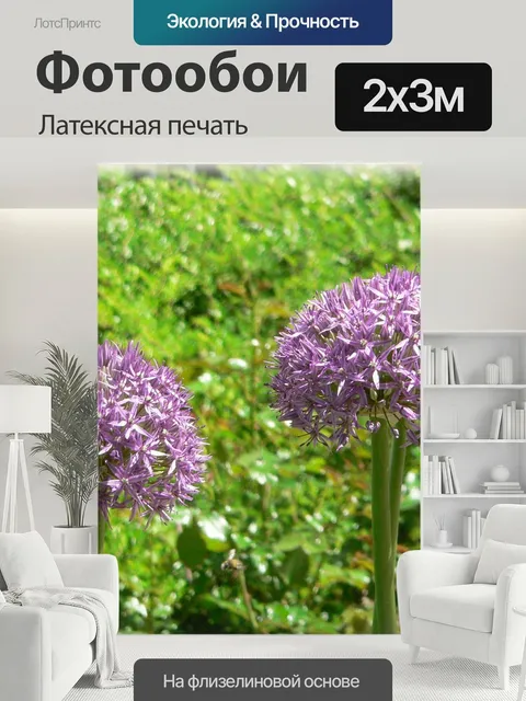 200 × 300 см · Латексная печать