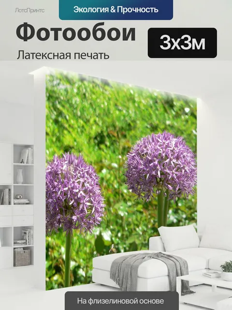 300 × 300 см · Латексная печать