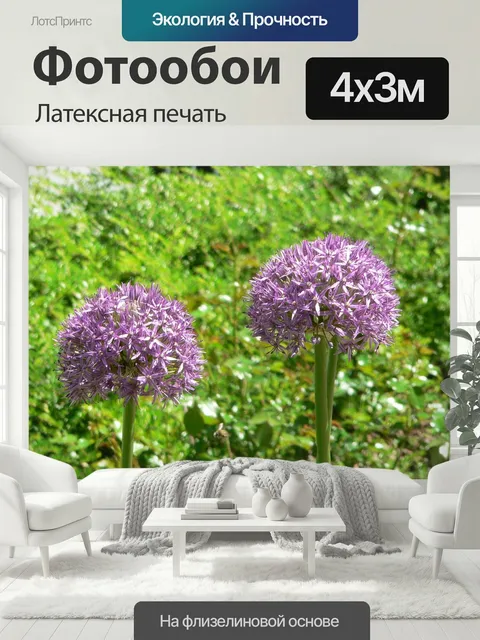 400 × 300 см · Латексная печать