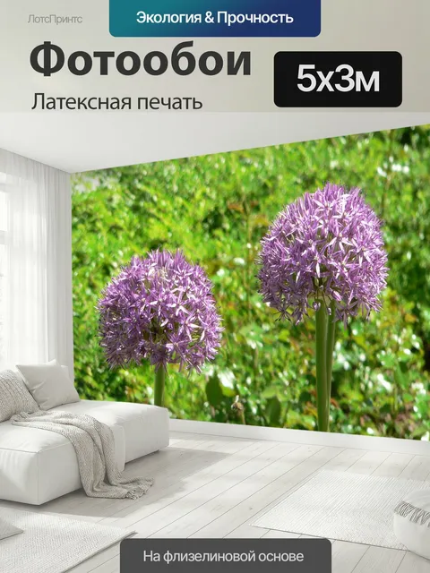 500 × 300 см · Латексная печать