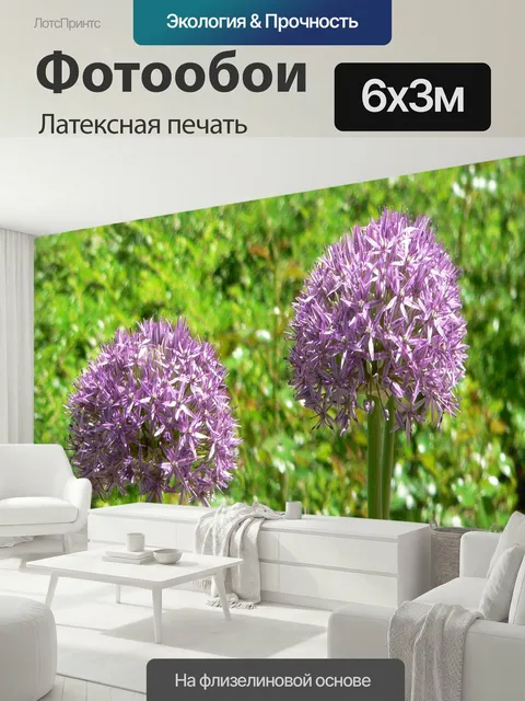 600 × 300 см · Латексная печать