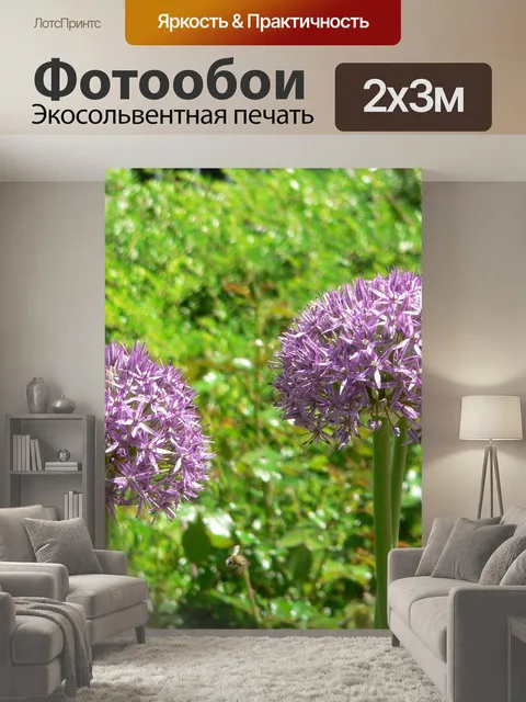 200 × 300 см · Экосольвентная печать