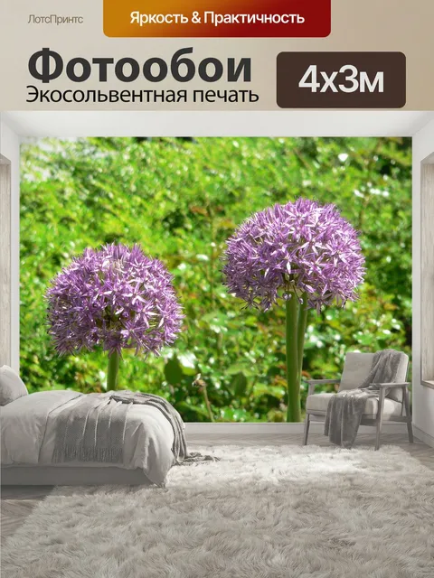 400 × 300 см · Экосольвентная печать