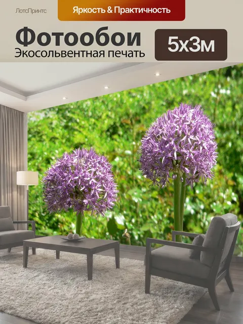 500 × 300 см · Экосольвентная печать