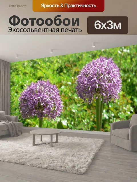 600 × 300 см · Экосольвентная печать