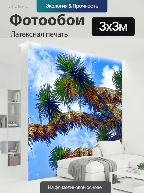 300 × 300 см · Латексная печать