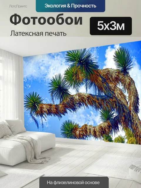 500 × 300 см · Латексная печать