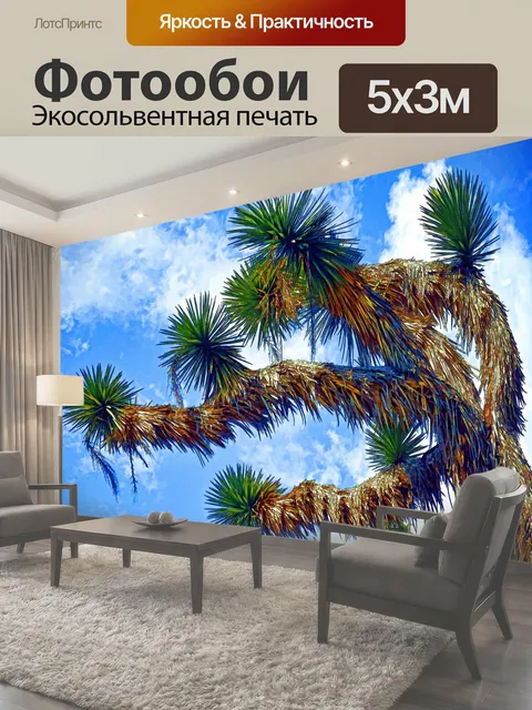 Фотообои Кактус и голубое небо Кактус