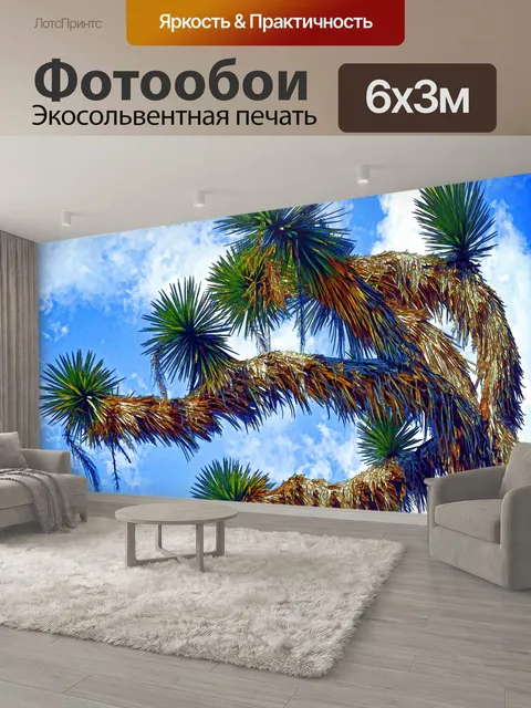 600 × 300 см · Экосольвентная печать