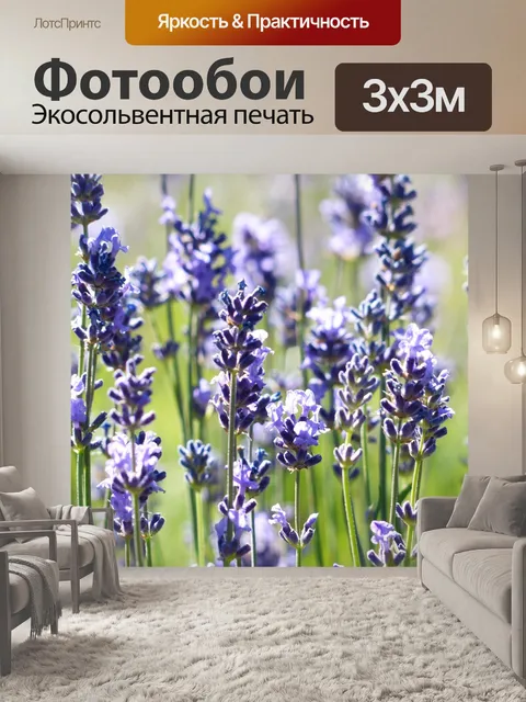 Фотообои Лаванда, цветок, расцветает
