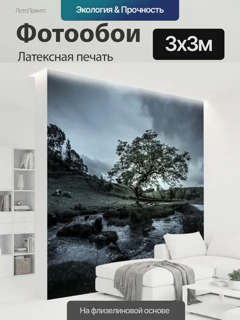 300 × 300 см · Латексная печать