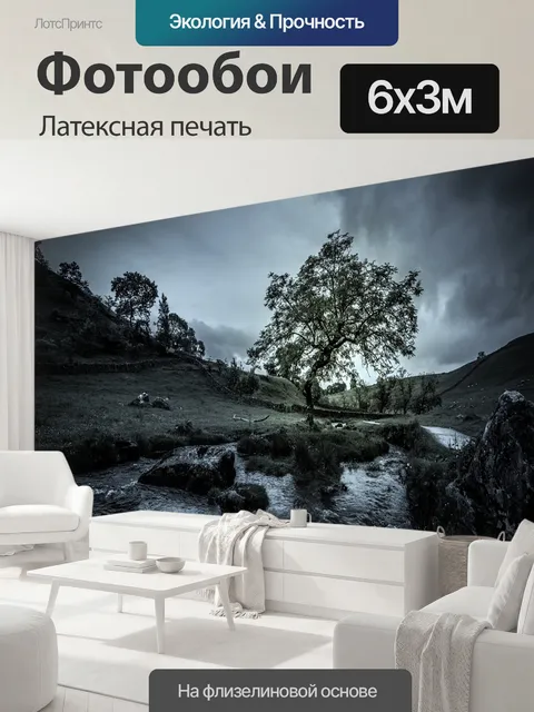 600 × 300 см · Латексная печать